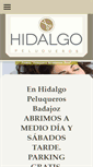 Mobile Screenshot of hidalgopeluquerosbadajoz.com